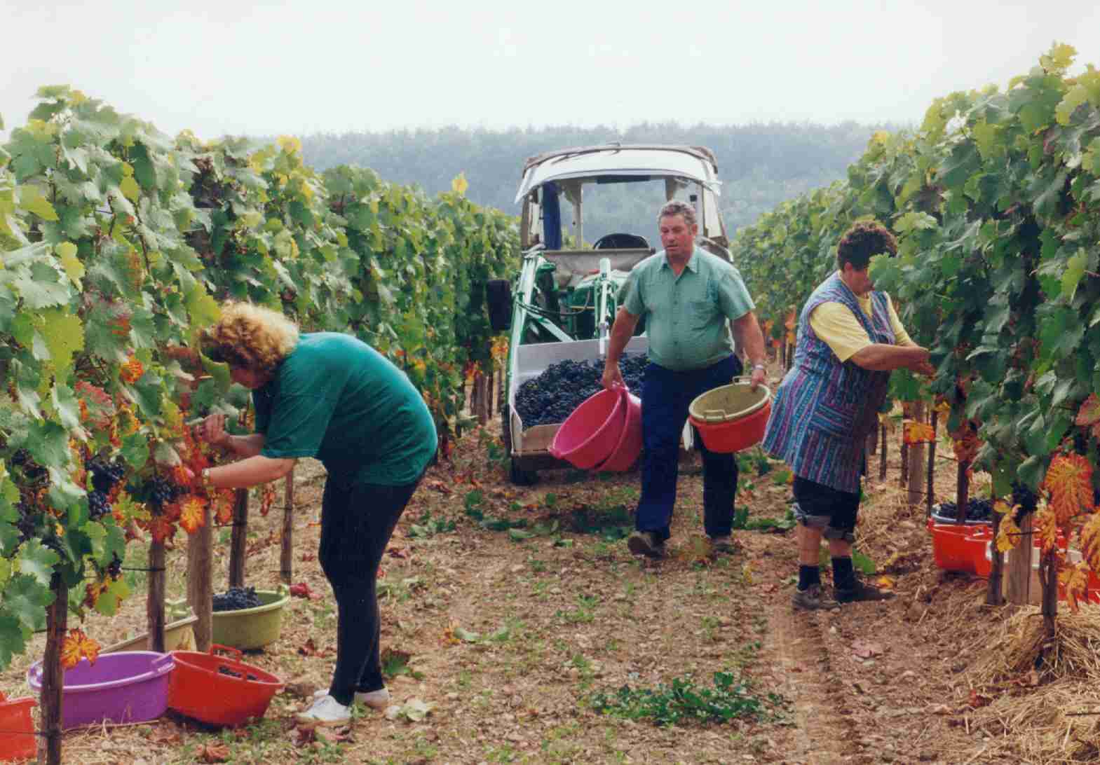 Breitanlage