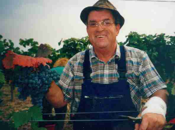 Edwin mit Riesentraube