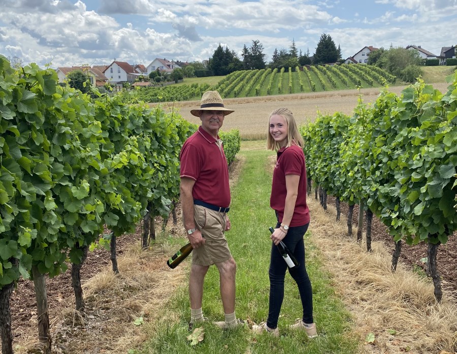Laufen im Weinberg